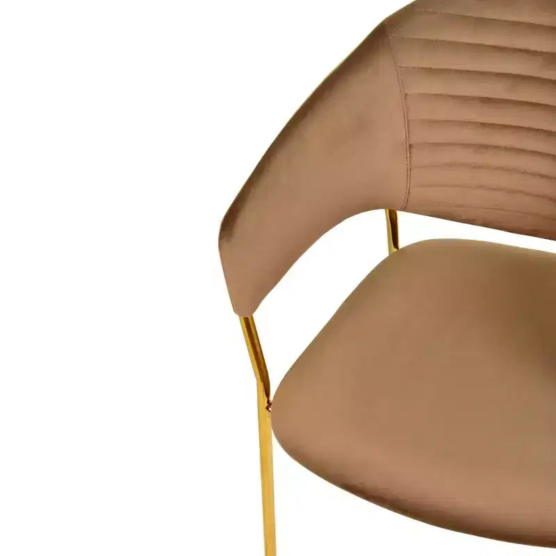 Chaise de salle à manger recouverte de cuir et de velours, assise et dossier ergonomiques rembourrés, fauteuil d'appoint avec piètement en acier inoxydable