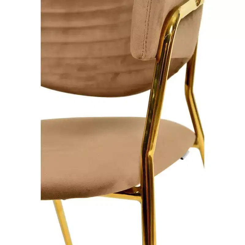Chaise de salle à manger recouverte de cuir et de velours, assise et dossier ergonomiques rembourrés, fauteuil d'appoint avec piètement en acier inoxydable