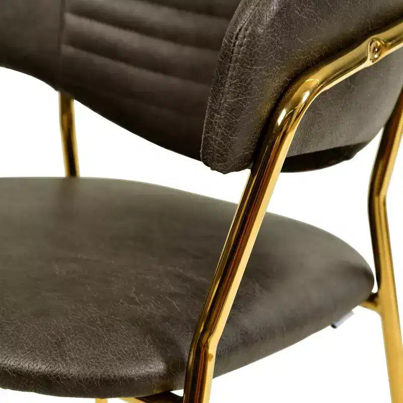 Chaise de salle à manger recouverte de cuir et de velours, assise et dossier ergonomiques rembourrés, fauteuil d'appoint avec piètement en acier inoxydable