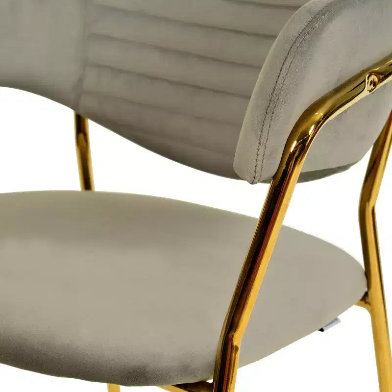 Chaise de salle à manger recouverte de cuir et de velours, assise et dossier ergonomiques rembourrés, fauteuil d'appoint avec piètement en acier inoxydable