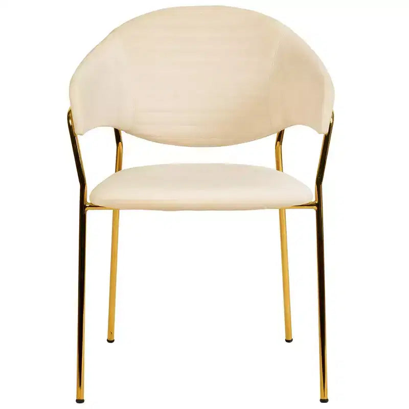 Chaise de salle à manger recouverte de cuir et de velours, assise et dossier ergonomiques rembourrés, fauteuil d'appoint avec piètement en acier inoxydable