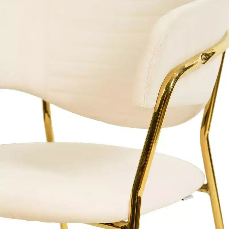 Chaise de salle à manger recouverte de cuir et de velours, assise et dossier ergonomiques rembourrés, fauteuil d'appoint avec piètement en acier inoxydable