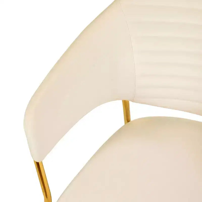 Chaise de salle à manger recouverte de cuir et de velours, assise et dossier ergonomiques rembourrés, fauteuil d'appoint avec piètement en acier inoxydable