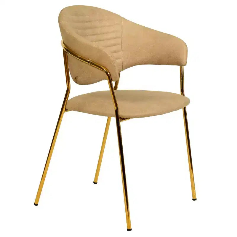 Chaise de salle à manger recouverte de cuir et de velours, assise et dossier ergonomiques rembourrés, fauteuil d'appoint avec piètement en acier inoxydable