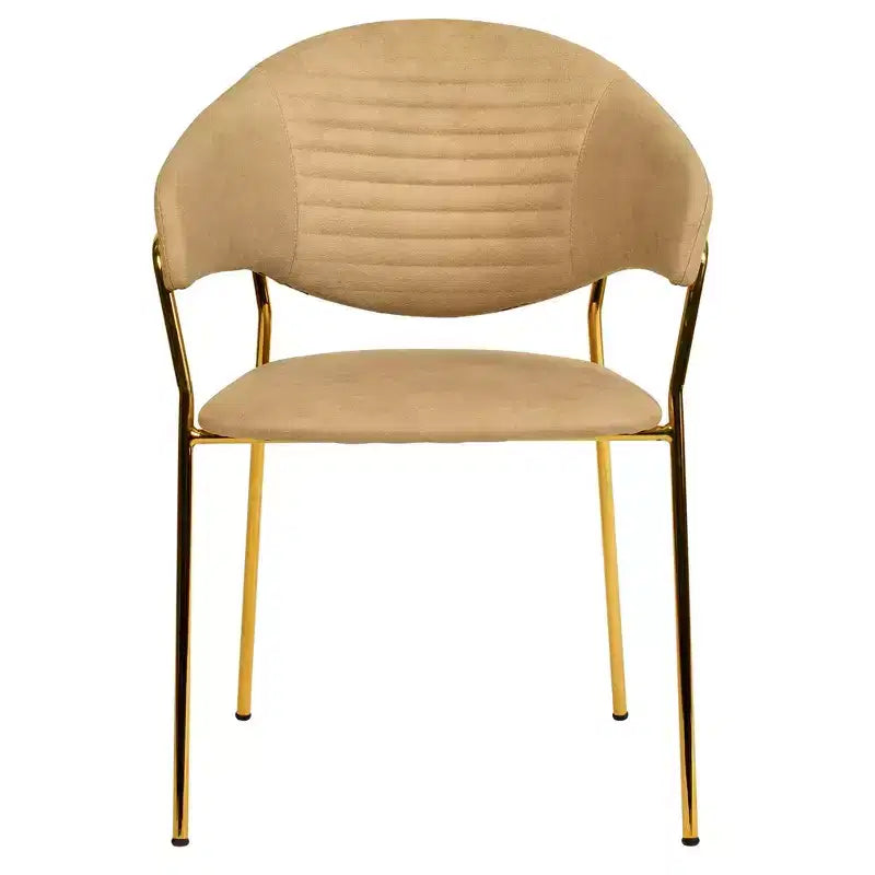 Chaise de salle à manger recouverte de cuir et de velours, assise et dossier ergonomiques rembourrés, fauteuil d'appoint avec piètement en acier inoxydable