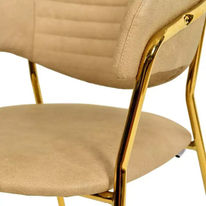 Chaise de salle à manger recouverte de cuir et de velours, assise et dossier ergonomiques rembourrés, fauteuil d'appoint avec piètement en acier inoxydable