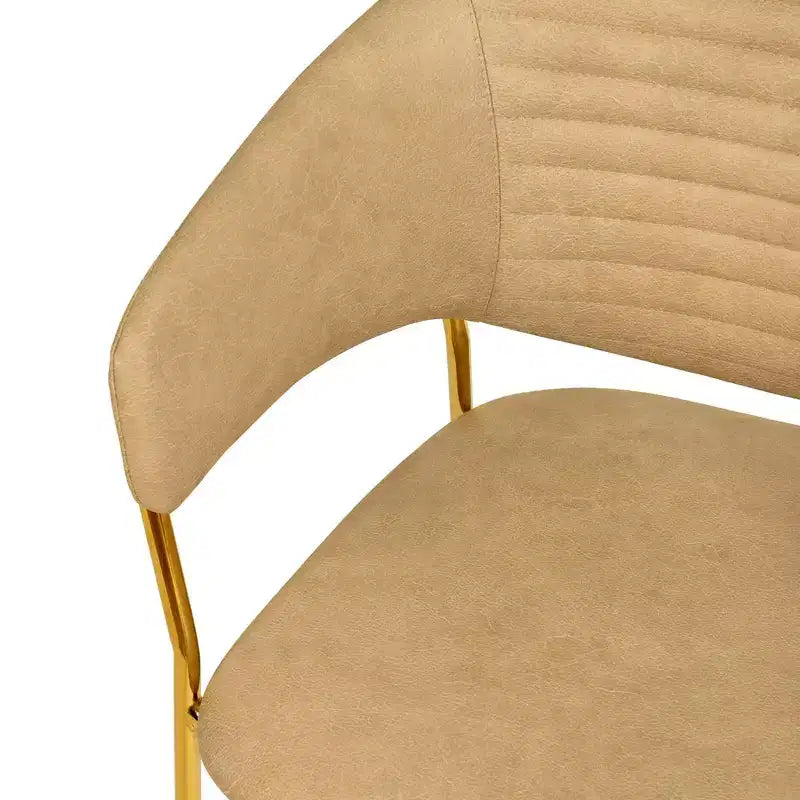 Chaise de salle à manger recouverte de cuir et de velours, assise et dossier ergonomiques rembourrés, fauteuil d'appoint avec piètement en acier inoxydable